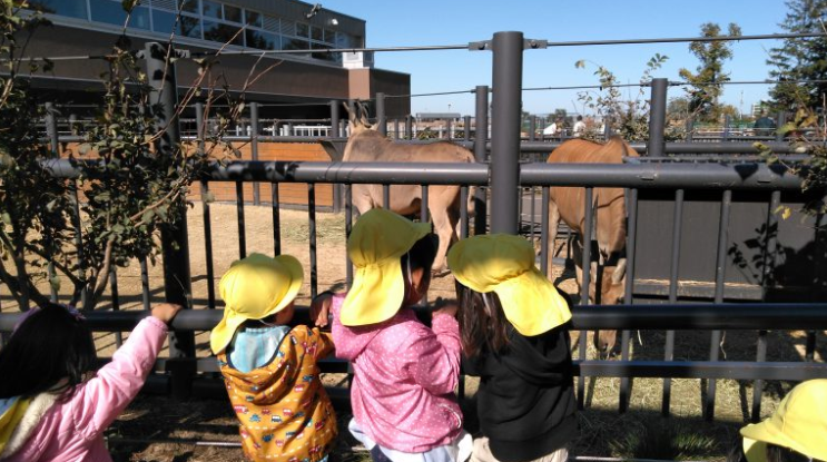 動物園に遠足