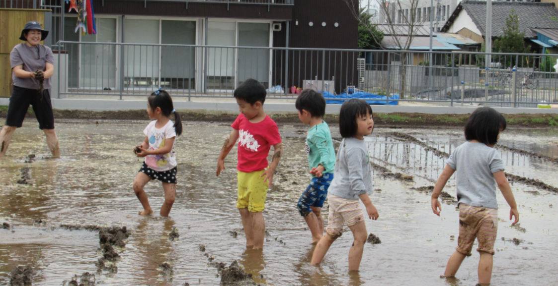 地域の方の田んぼで思いっきりあそびました！