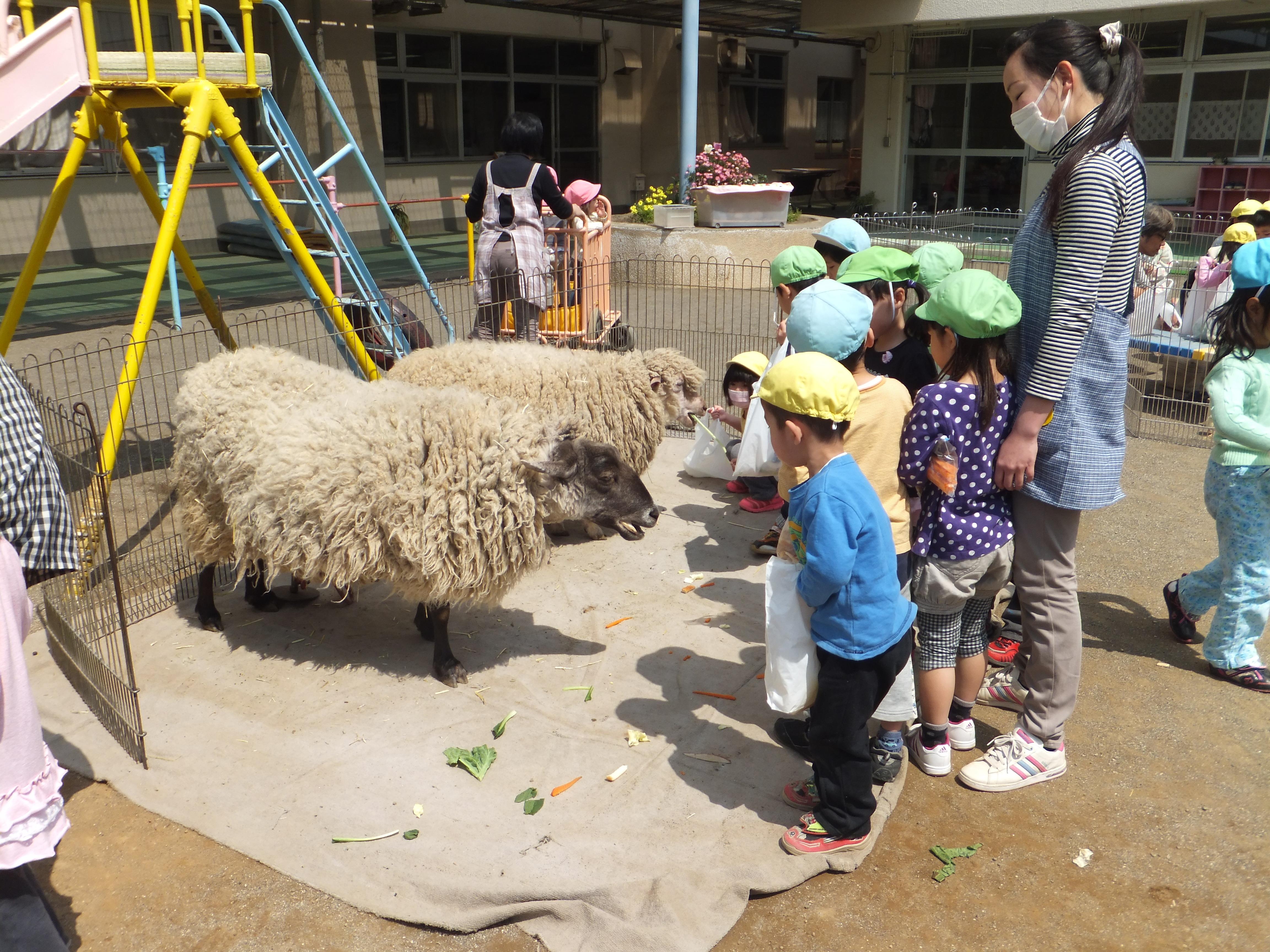 移動動物園